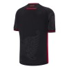 Original Fußballtrikot Albanien Ausweichtrikot 2025-26 Für Herren